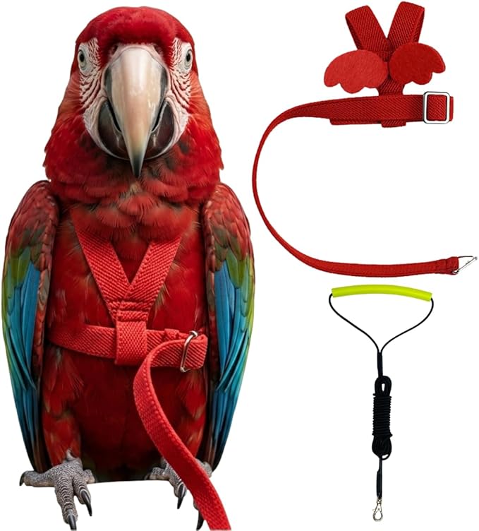 Adjustable Bird Harness with Elastic Leash, Pet Parrot Harness and Leash, Adjustable Training Design Anti-Bite, Bird Nylon Rope with Cute Wing for Conure (Red,Macaw)