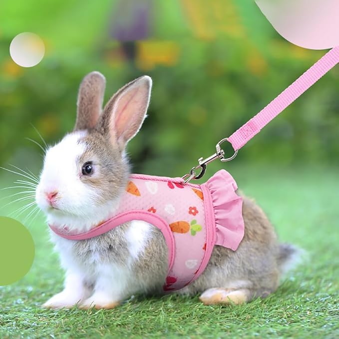 Small Animal Harness Leash & Hat Set - Breathable Mesh, Adjustable Closure - 3 Colors - Escape-Proof Vest for Bunny, Chinchilla, Guinea Pig, Hamster - All-Season