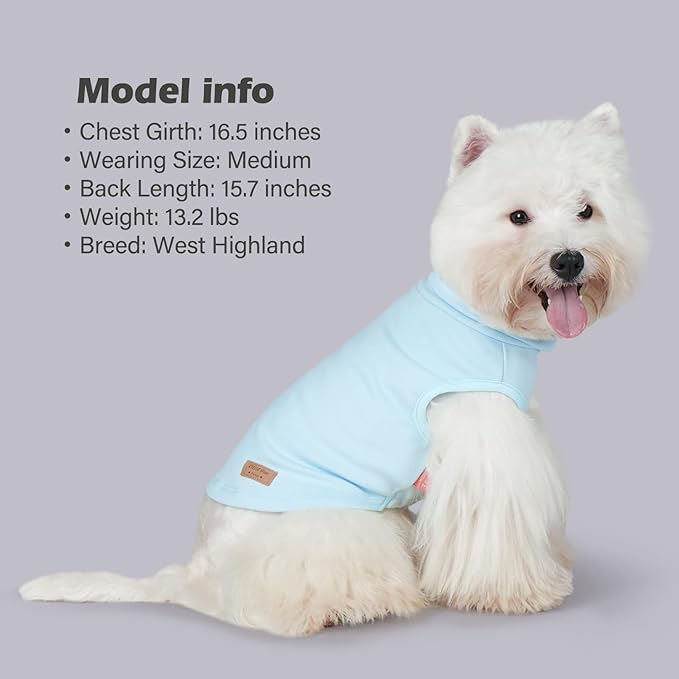 KYEESE 2Pack Dog Sweater Stretchy Dogs Clothes Soft Pets Clothes Warm Pets Coats Dog Sweaters for Small Dogs Male Turtleneck Small Pets Sweaters Pullover Pet Sweatshirt