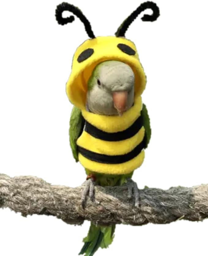 Bird Costume Diaper Flight Suit Bee Shape Hoodie Clothes Cosplay Photo Prop for Parrots Parakeet Cockatiel Sun Conure, Small Animals Apparel (Bee Without Diaper, Large), Green (BPF1)
