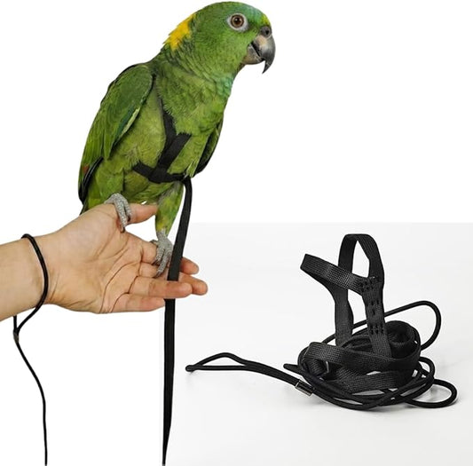 Adjustable Bird Harness and Leash for Parrots Outdoor Flight Training Anti-Bite Light Weight Easy-to-Wear Bird Vest with 59 Inch Elastic Leash for Quaker Conure African Grey Macaw Cockatoo (L)