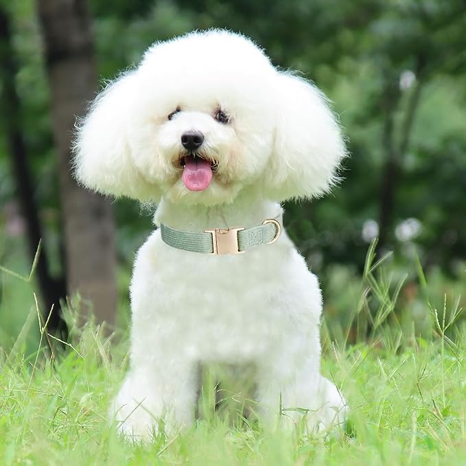 Soft Corduroy Dog Collar and Leash Set Adjustable Durable Dog Collars with Metal Buckle and Lead for Medium Dogs,Grass Green