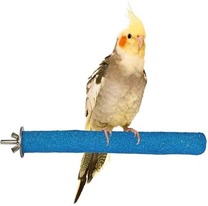 PINVNBY Bird Feeding Dish Cups,5.5x2.0 Inches Parrot Stainless Steel Food Water Dish Perch Stand Platform Paw Grinding Toy Feeder Cage Bowl with Clamp Holder for Budgies Parakeet Macaw(5 Pack L)