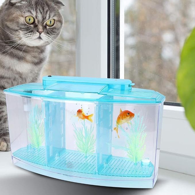 Aquarium Tank, Three Divisions LED Acrylic Fish Tank, Desktop Aquarium | Portable Fish Tank | Travel Fish Tank | Cool Fish Tank | Breeding Isolation Box Fishtank for Baby Fish