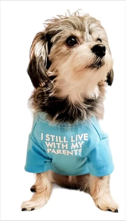 Cute Dog Clothes, T Shirt for Medium and Small Dogs Girl Boy,Puppy.Breathable Soft Dog Costume for Pet Dogs Cats, Pet Pullover Jumper, Cat Clothes (XL-(16~20lb), Chest~20", Aqua)