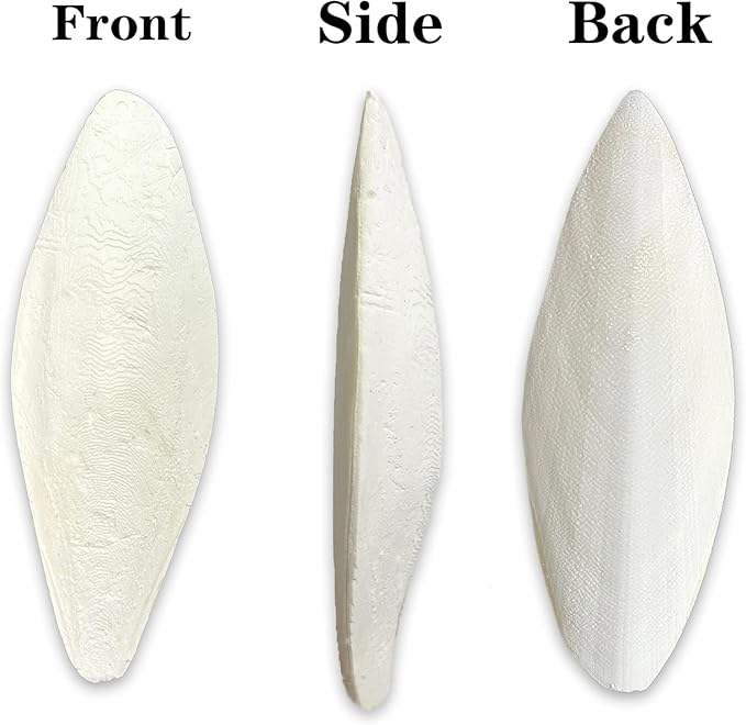5.5"-7.1" inches Large Cuttlebone for Birds - 100% Natural Cuttlefish Bone Bulk Chew Toy Bird Bites Calcium Stone for Canaries Tortoises,Snails,Reptiles,Parrots,Cockatiel -3pcs