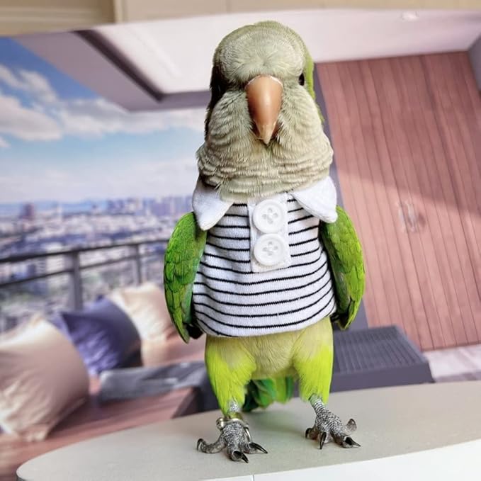 Bird Diaper Flight Suit for Parrots, Lovebirds, Parakeets & Cockatiels - Summer Clothes Cosplay Photo Prop - Small Animal Apparel (Without Diaper, Sun Conure)