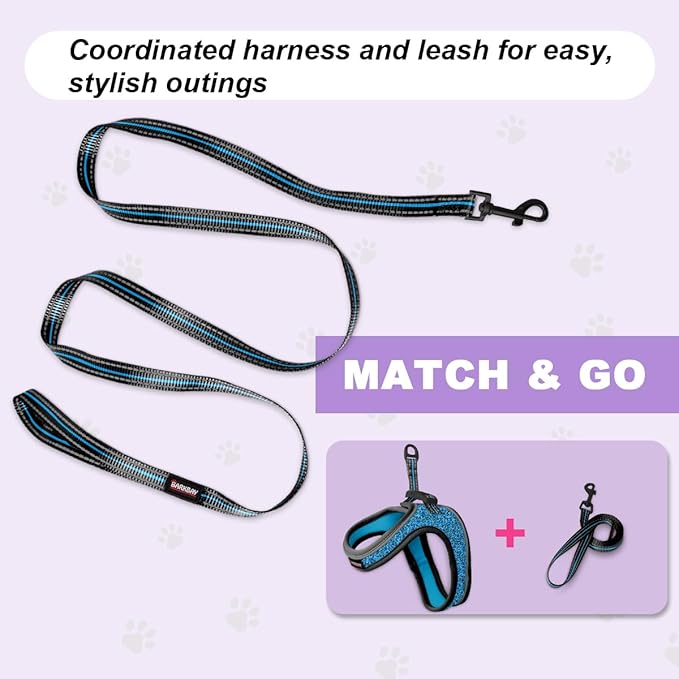 Cat Harness and Leash Set,Escape Proof Kitten Harness,Step in Adjustable Soft Lightweight,Easy Control,Reflective Strips Comfortable for Walking Travel(Blue/Black,S)