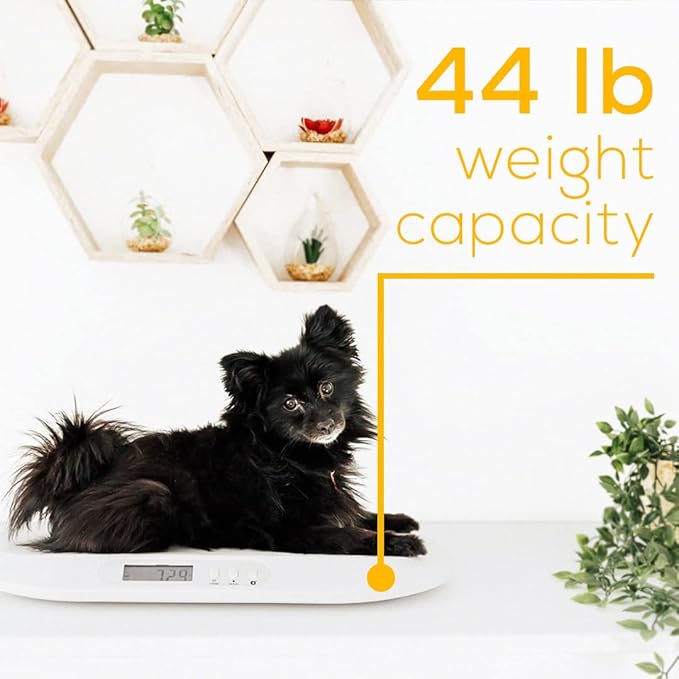 Beurer BY90 Baby Scale, Pet Scale, Digital, with Measuring Tape, tracking weight with App | For: Infant, Newborn, Toddler /Puppy, Cat - Animals | LCD Display, weighs Lbs/Kg/Oz Highly accurate