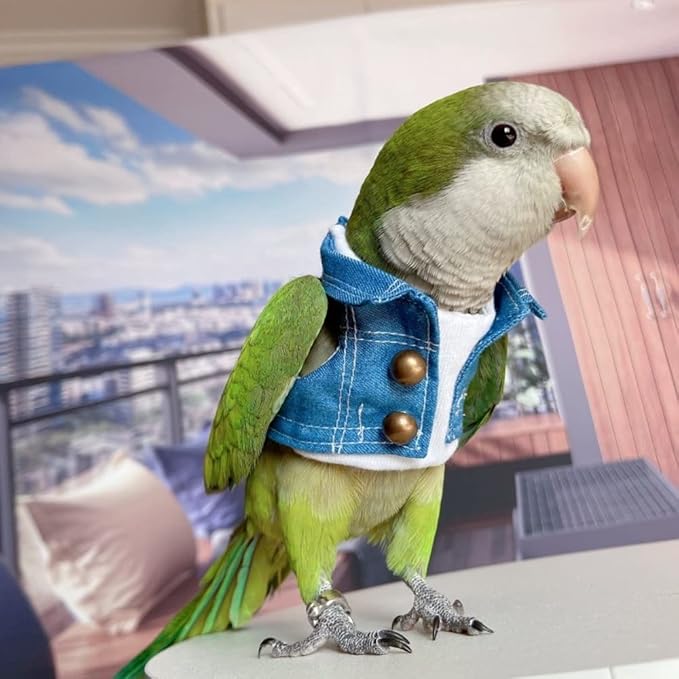 Bird Costume Bird Diaper Flight Suit Bird Jeans Fake Two Pieces Bird Clothes Cosplay Photo Prop for Parrots Lovebird Parakeet Cockatiel Small Animals Apparel (Without Diaper,Cockatoo)