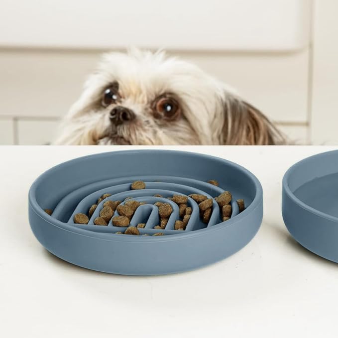 Should We Go? Slow Feeder for Dogs & Cats, The Slowdown Bowl Silicone Slow Eating Mealtime Solution with Modern Lick Mat Design, Reduces Gulping, Fits 1 Cup, 6” Across x 1.25” Tall, Small-Ocean