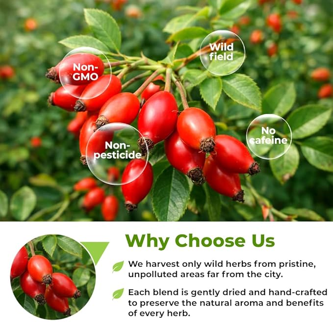 100 Bags Rosehips Tea Dried Rose Hips Crushed (Roza Cinamomea) - 100 Count 1.5 g Tea Bags Rosehip Berries