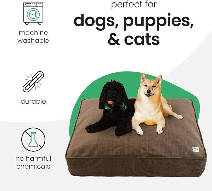 Molly Mutt Woodstock Dog Bed Duvet Cover, GOTS-Certified 100% Organic Cotton Canvas Cover for Dog, Puppy, or Cat Bed, Durable, Washable, and Free of Harmful Chemicals, Small, 22"x27"x5"