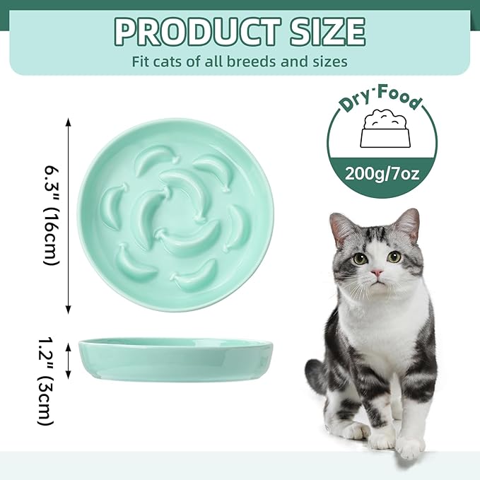 Ceramic Cat Slow Feeder Bowl - 6.3'' Wide Opening Whisker Friendly Cat Plate for Dry and Wet Food - Cute Maze Feeder Dish Helps Reduce Vomiting - Microwave and Dishwasher Safe - Green