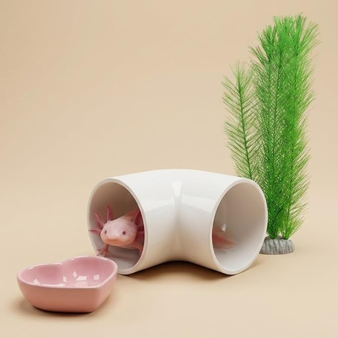 Axolotl Hide Tube with Feeding Dish & Silk Plant, 3-Piece Aquarium Set | Fish Tank Cave Decor for Axolotls, Shrimp & Small Fish, Includes Artificial Plant and Feeding Bowl (White, Large)