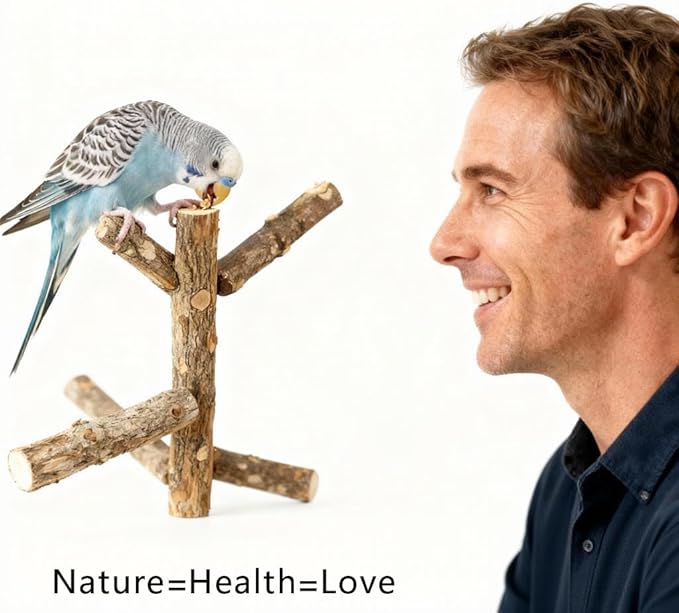 Bird Cage Perches Accessories: Parrot Natural Wooden Perch Set with 4 Standing Sticks - Daily Climbing Rest & Beak & Nail Grinding for Parakeets Luonfels - Caring for The Health of Parrots