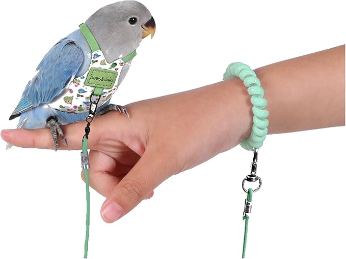 Bird Harness Leash Set Adjustable Vest Anti-Lost Wrist Strap for Parakeet Cockatiel Conure Lovebird (Green, Cockatiel 6 * 10.5cm/5g)