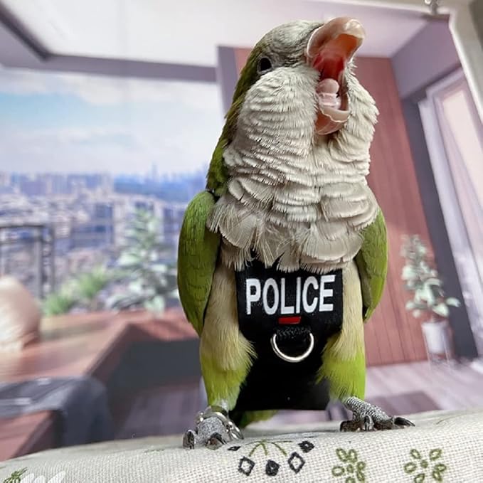 Bird Clothes Parrot Diapers Bird Flight Suits, Reusable Waterproof Diapers pet Bird Supplies (L)