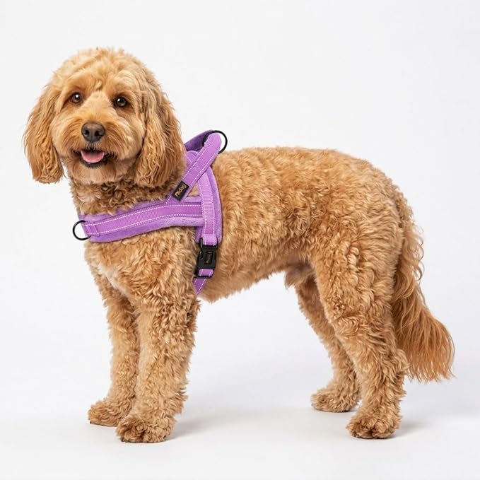 Didog Soft Flannel Padded Dog Vest Harness, No Pull/Quick Fit Reflective Dog Strap Harness, Easy for Training Walking (S:Chest 18-22", Purple)