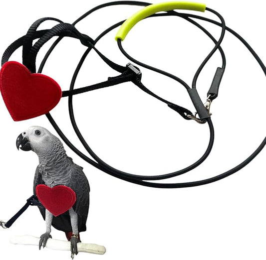 Adjustable Birds Harness and Leash Parrot Harness Leash Training Supplies Pet Anti-bite Outdoor Flying Rope for Conures Budgerigar Lovebird Cockatiel Mynah (M)