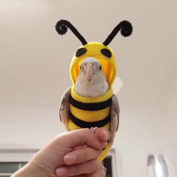 Bird Costume Diaper Flight Suit Bee Shape Hoodie Clothes Cosplay Photo Prop for Parrots Parakeet Cockatiel Sun Conure, Small Animals Apparel (Bee with Diaper, Small), Green (BPF1)
