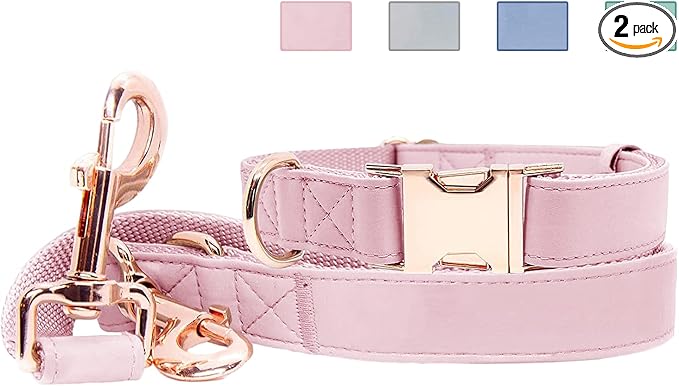 Soft Leather Dog Collar and Leash (6.6') Set - Stylish Rose Gold Heavy Duty Metal Buckle, 4 Adjustable Lengths Leash for Small Medium Large Dogs - Comfortable & Easy to Clean Pink M(13.8"-19.7")