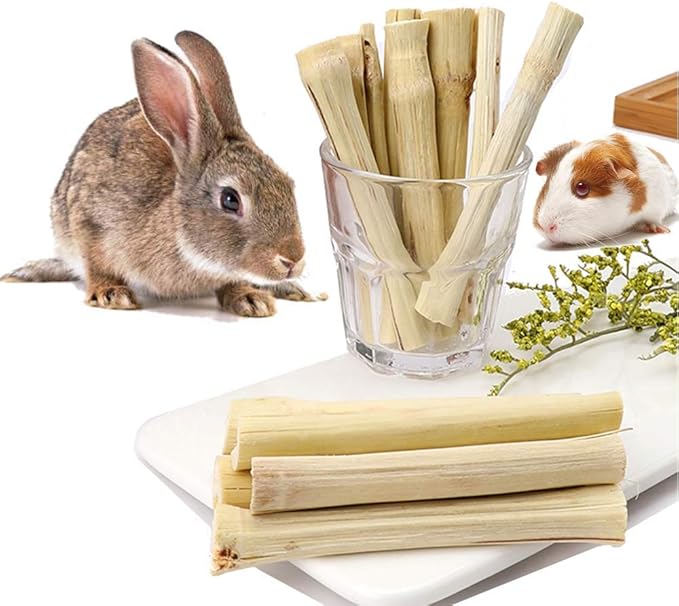 300g/10.5oz Bamboo Sticks for Rabbits - Rabbit Chew Toys for Teeth with Rabbit Treats Included - Durable Chew Sticks for Hours of Fun