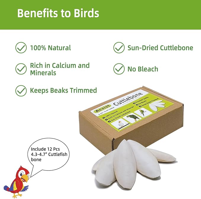 4.3"-4.7" Cuttlebone for Birds,Parakeets Cuddle Bone Beak Trimming,Premium Calcium Natural Cuttlefish Bone for Parrot,Cockatiel,Budgie,Tortoise, Snails,Reptiles,12 Pcs