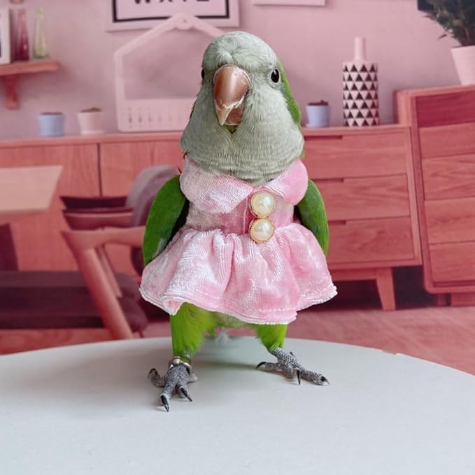 Bird Costume Bird Diaper Flight Suit Parrot Velvet Fleece Skirt Clothes Cosplay Photo Prop for Conure Lovebird Parakeet Cockatiel Macaw Small Animals Apparel (Pink,X-Large)