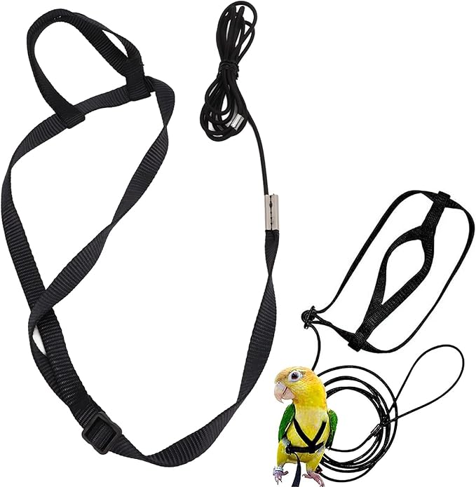 Parrot Harness Leash, Adjustable Buckle Elastic Rope Easy to Wear Convenient String for Cockatiel Lovebird Outdoor Playing Parties (XS)