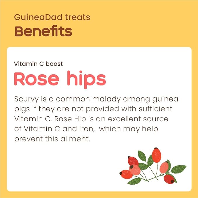 GuineaDad Organic Guinea Pig Herbal Treats - Guinea Pig Food with Convenient Packaging - Rose Hip Flavor - 16 fl oz - Guinea Pig Treats Help with Bonding - High in Nutrition, Immune Support - Large