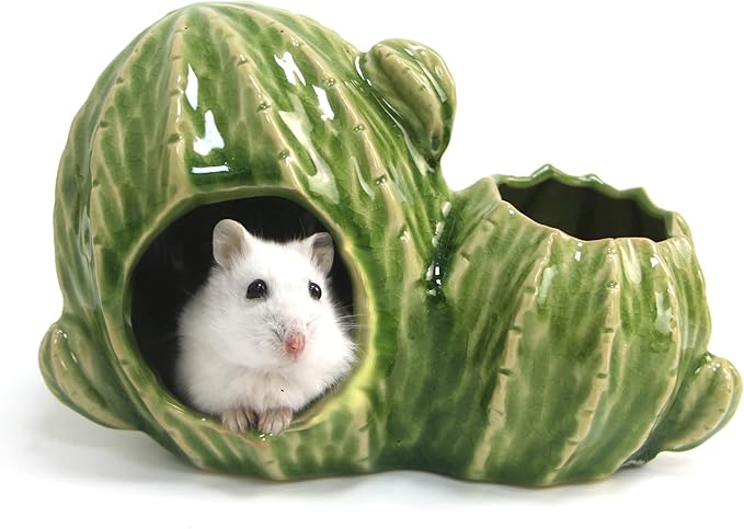 Ceramic Hamster Hideout, Dwarf & Syrian Hamster Hut with Double Doors, Anti-Bite Hideaway House for Mice & Gerbils (Light Green)