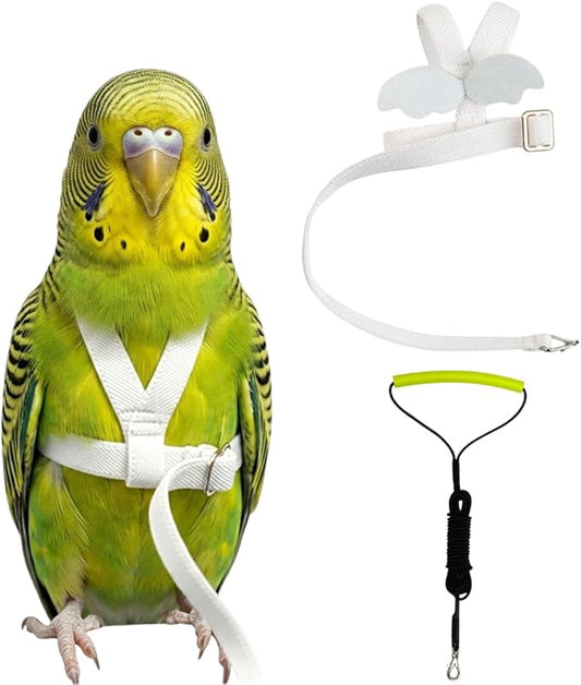 Adjustable Bird Harness with Elastic Leash, Pet Parrot Harness and Leash, Adjustable Training Design Anti-Bite, Bird Nylon Rope with Cute Wing for Conure (White,XS)