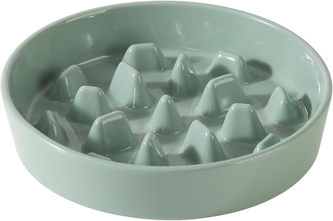 Havniva Ceramic 3.2 Cup Dog Bowl Slow Feeder, 9.5 inch Slow Pet Food Dish for Large Dog, Stop Bloat, Preventing Choking(Single Bowl,Light Green)
