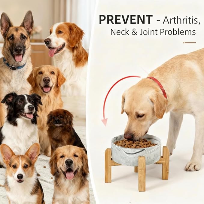 Elevated/Raised Ceramic Dog Bowl with Bamboo Stand,Marble Pattern 6 Inch 3.6 Cups Non Slip Heavy Weighted Single Pet Dish, for Small Medium Breed & Cats,Reduces Neck Strain Marble Grey