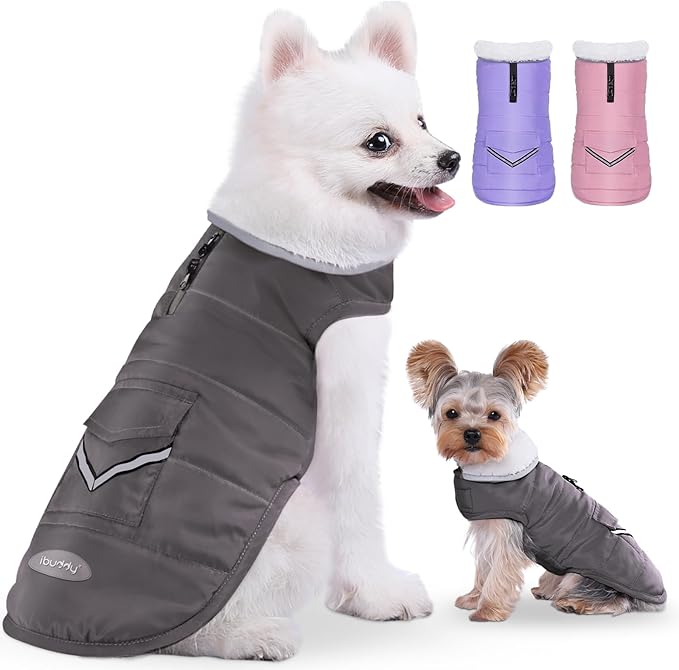 iBuddy Dog Winter Jacket for Small Dogs, Easy on Dog Fleece Snow Coat Velcro Waterproof Pet Puffer Clothes with Harness Hole Adjustable Reflective Quilted Pet Cold Weather Vest Wind-Poof for Boy Male