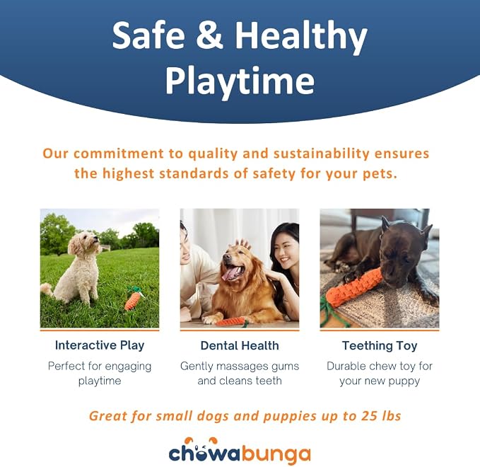 Bucky The Squirrel Dog Toy Handmade Eco Cotton Rope Squirrel Toy for Dogs - Natural, Non-Toxic Dyes, Dog Chew Toys for Small & Medium Breed Dogs, Cats (Large)