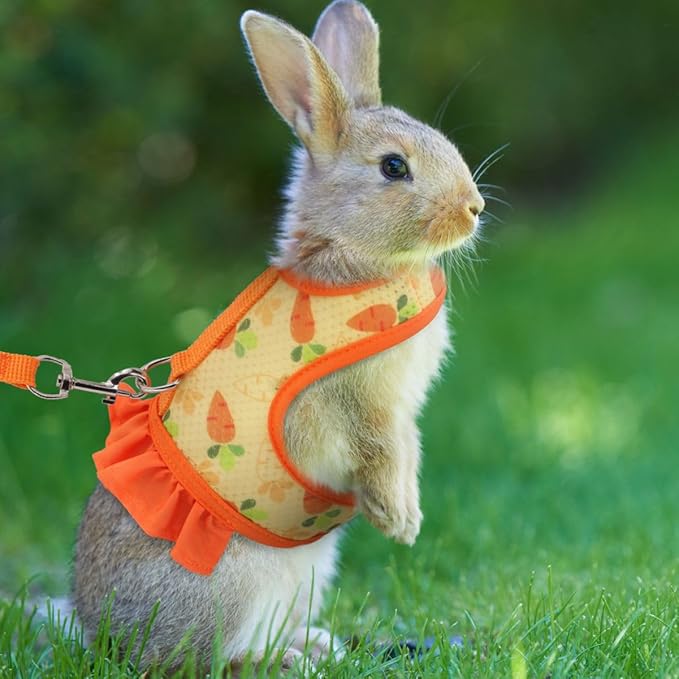 Kitten Harness and Leash, Bunny Guinea Pig Clothes Ferret Rabbit Rats Hamster Soft Mesh Escape-Proof Vest Set Cute Carrot Pattern for Chinchilla Small Animals Puppy Orange L