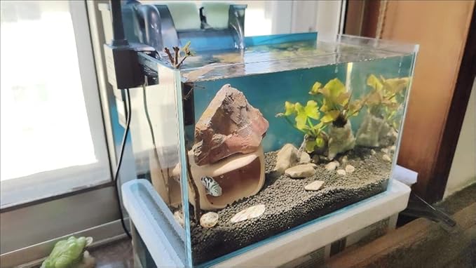 AWXZOM Small Nano Tall Rimless Tank, Glass Fish Tank, Betta Fish Tank, Aquarium (2.85 Gal, 11.8x6.7x7.8 inch)