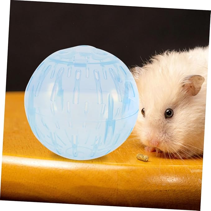 Hamster Balls Large Exercise Toy 10cm Pet Running Balls Track for Chinchilla Guinea Pig Gerbil