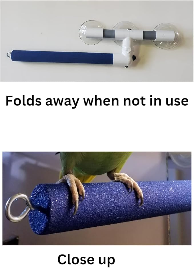 Polly's Sandy Window and Shower Bird Perch, Large