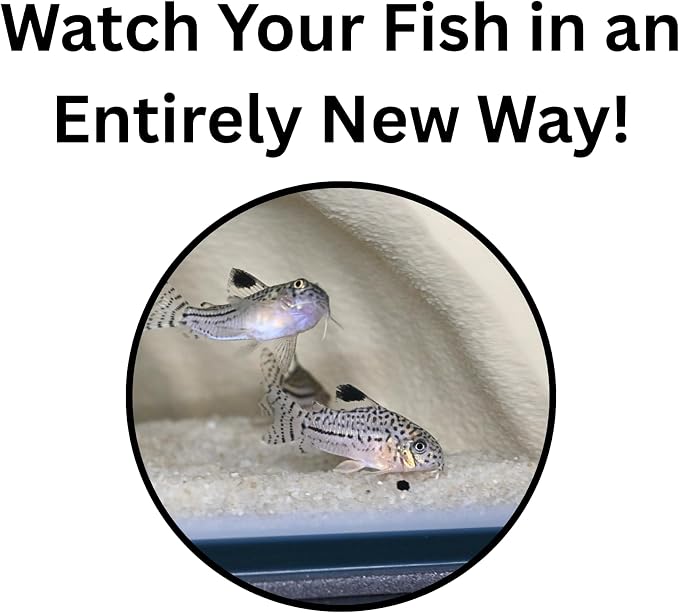 Aquarium Corner Underground Cave Natural Mangrove Tree | Viewing Fish Under Gravel Tunnel Hide | Fish Tank Hideout Decor Decoration Enrichment for Corydora Catfish, Loaches, Pleco, Betta (Bone White)