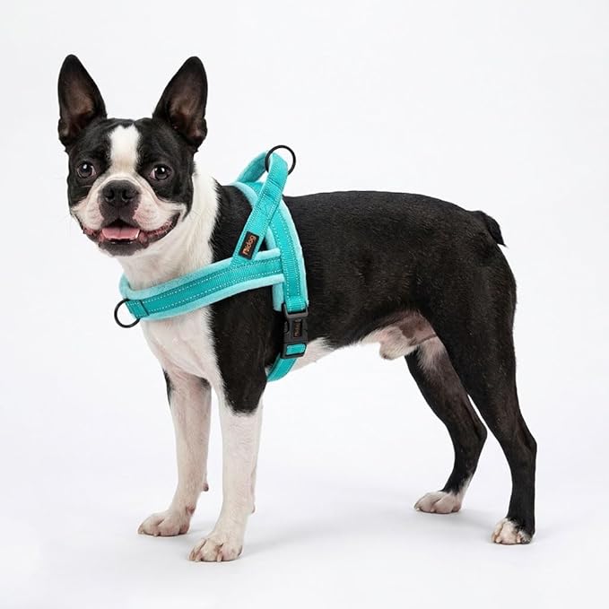 Didog Soft Flannel Padded Dog Vest Harness,Escape Proof/Quick Fit Reflective Dog Strap Harness, Easy for Training Walking(XS:Chest 15-18", Teal)