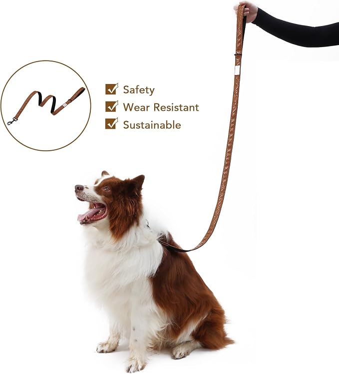 Soft Leather 4ft Dog Collar and Leash Set,Stylish 4ft PU Leather Dog Training Leash, Adjustable Durable Pet Collars with Quick Release Buckle for Large Dogs,Medium Dogs,Terracotta (terracotta, 4 feet)