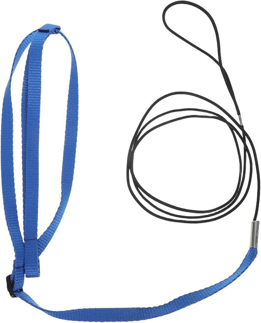 Adjustable Bird Harness and Leash for Parrots, Anti-Escape Flight Harness Rope, Outdoor Training Vest for Small Birds, Cockatiels, Conures, Parakeets