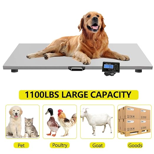 1100Lbs x 0.2Lbs Digital Livestock Scale Large Pet Vet Scale Stainless Steel Platform Electronic Postal Shipping Scale for Heavy Duty Large Dog Hog Sheep Goat Pig Sheep Scale