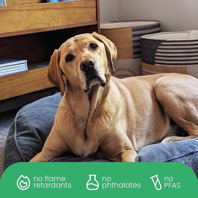 Molly Mutt Dragonstone Dog Bed Duvet Cover, GOTS-Certified 100% Cotton Canvas Cover for Dog, Puppy, or Cat Bed, Durable, Washable, and Free of Harmful Chemicals, Medium/Large, 27"x36"x5", Blue