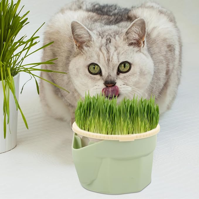 POPETPOP Cat Grass Hydroponic Planting Cup Soilless Catnip Box with Double-Layer Design Easy to Clean Household Cat Plant Pot 3.93X3.54X2.48 Inch