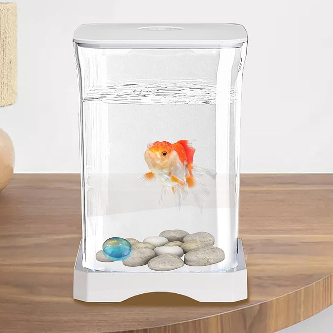 Small Fish Tank - LED Aquarium, Acrylic Mini Bowl with Feeding Hole, Compact Betta Container, Clear Stylish Design | Home Office Decoration, Desktop Display, Bedroom Aquarium, Small Aquatic Habitat