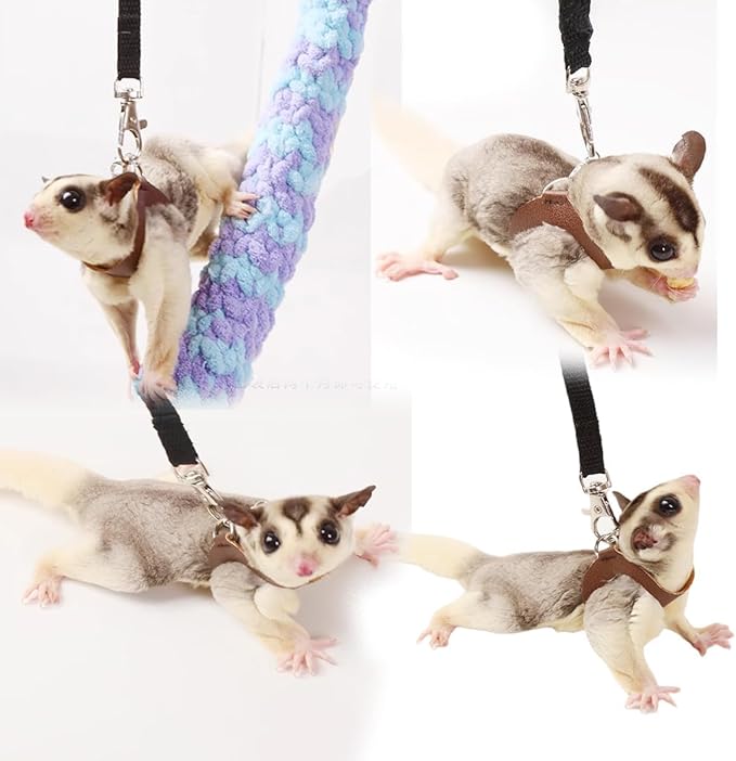MANON ROSA Sugar Glider Harness & Leash Set - Escape-Proof 3-Piece Adjustable Vest for Squirrels Rats Mice Mouse & Small Animals - Hamster Gerbil Walking Gear, Pet Toy Accessories, Black